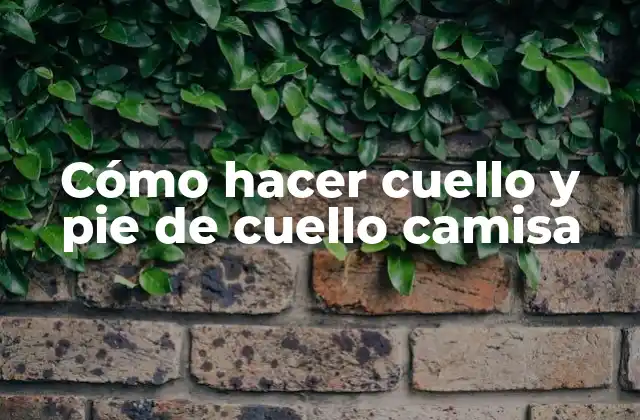 Cómo Hacer Cuello y Pie de Cuello Camisa