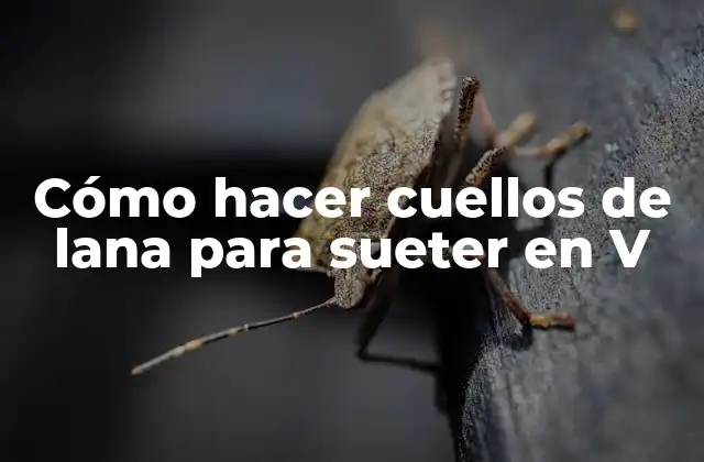 Cómo Hacer Cuellos de Lana para Sueter en V