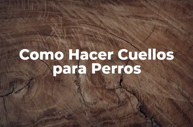 Como Hacer Cuellos para Perros