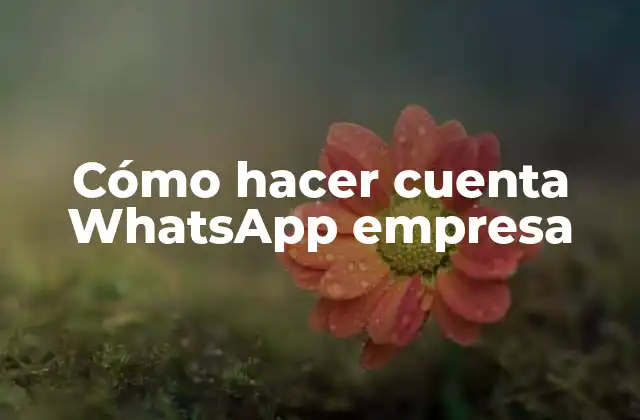 Cómo Hacer Cuenta Whatsapp Empresa
