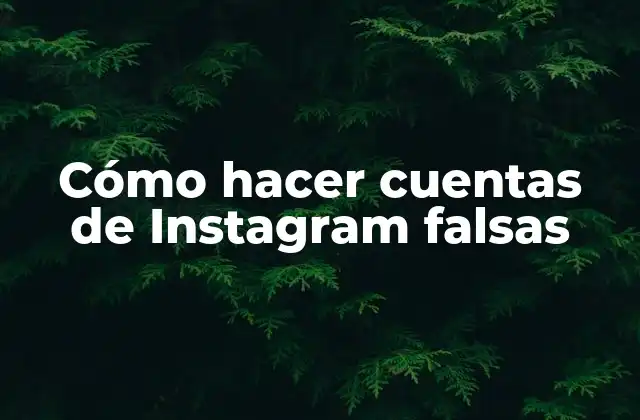 Cómo Hacer Cuentas de Instagram Falsas