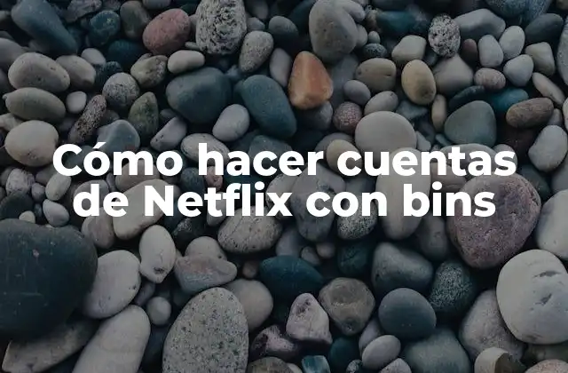 Cómo Hacer Cuentas de Netflix con Bins