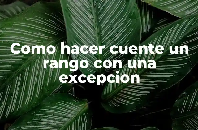 Como Hacer Cuente un Rango con una Excepcion