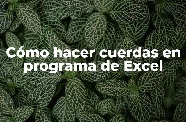 Cómo Hacer Cuerdas en Programa de Excel