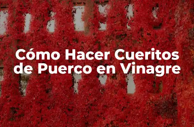 Cómo Hacer Cueritos de Puerco en Vinagre