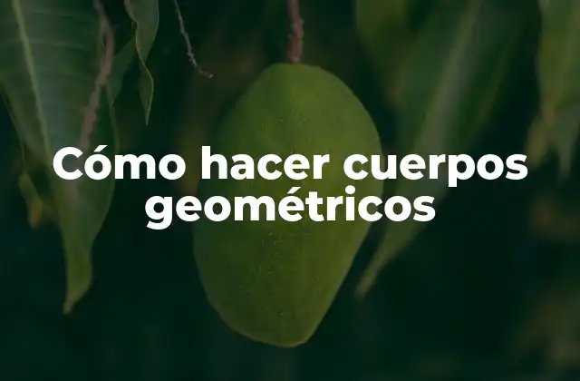 Cómo Hacer Cuerpos Geométricos