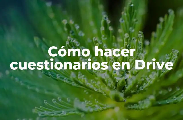 Cómo Hacer Cuestionarios en Drive