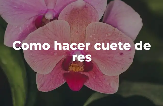 Como Hacer Cuete de Res 2 ¿Qué es el cuete de res?