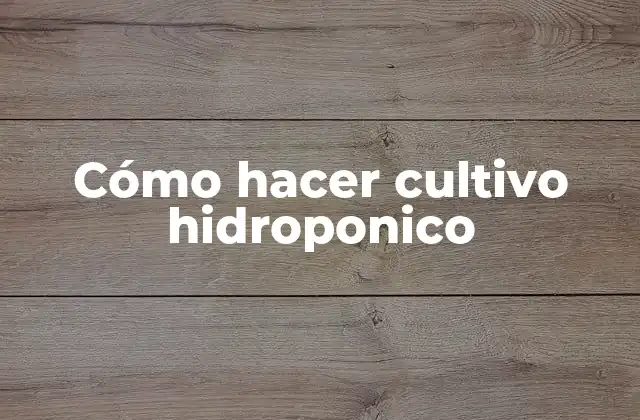 Cómo Hacer Cultivo Hidroponico