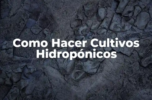 Como Hacer Cultivos Hidropónicos