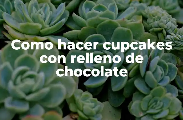 Como Hacer Cupcakes con Relleno de Chocolate