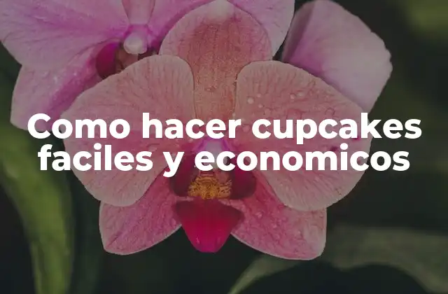 Como Hacer Cupcakes Faciles y Economicos