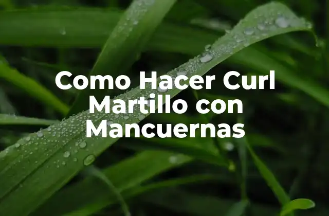 Como Hacer Curl Martillo con Mancuernas
