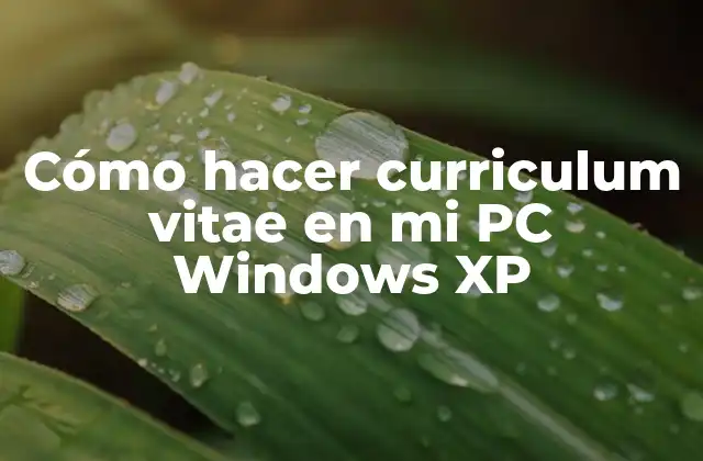 Cómo Hacer Curriculum Vitae en Mi Pc Windows Xp