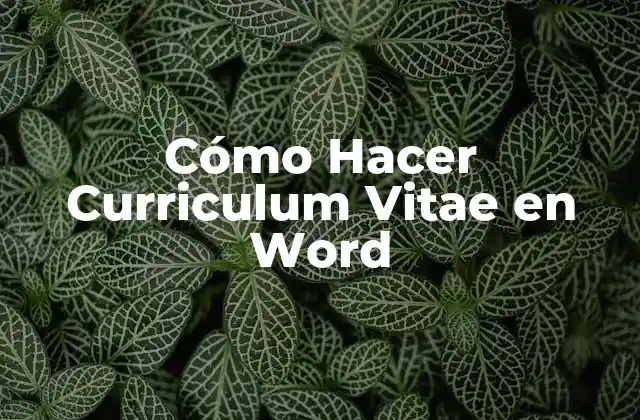 Cómo Hacer Curriculum Vitae en Word