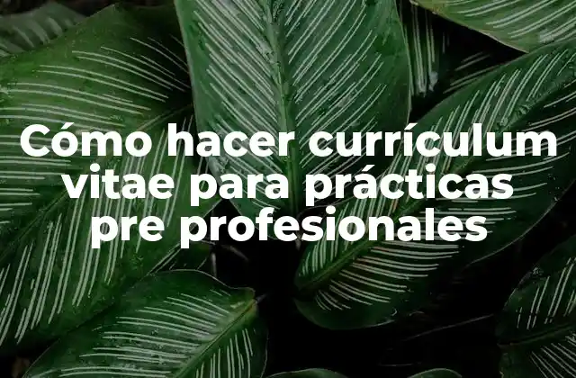 Cómo Hacer Currículum Vitae para Prácticas Pre Profesionales 2 Currículum vitae para prácticas pre profesionales