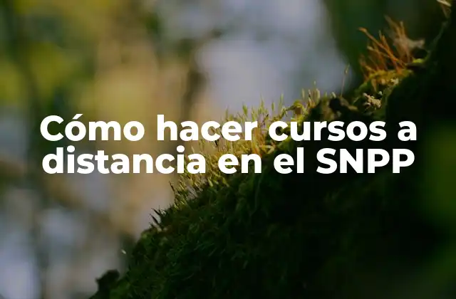 Cómo Hacer Cursos a Distancia en el Snpp