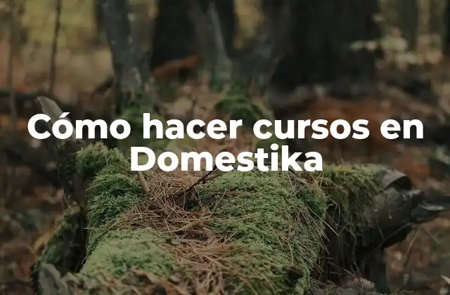 Cómo Hacer Cursos en Domestika