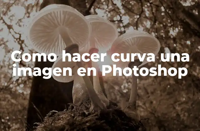 Como Hacer Curva una Imagen en Photoshop