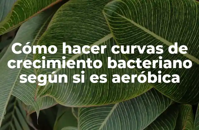 Cómo Hacer Curvas de Crecimiento Bacteriano según Si es Aeróbica