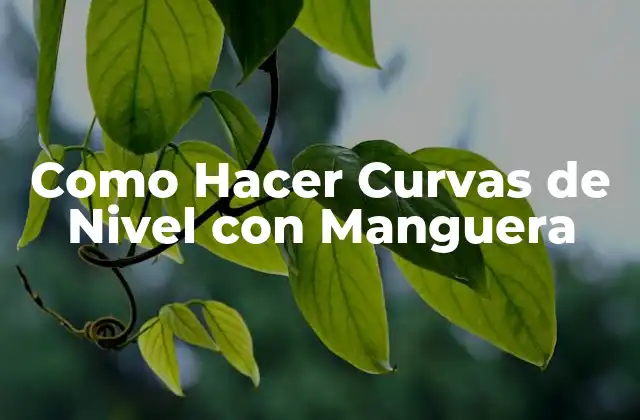 Como Hacer Curvas de Nivel con Manguera