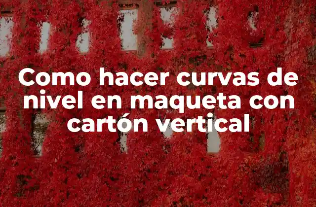 Como Hacer Curvas de Nivel en Maqueta con Cartón Vertical