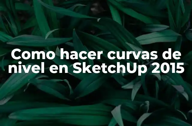 Como Hacer Curvas de Nivel en Sketchup 2015