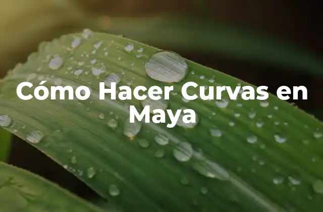 Cómo Hacer Curvas en Maya