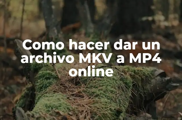Como Hacer Dar un Archivo Mkv a Mp4 Online