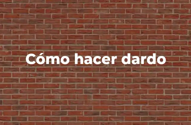 ¿Qué es un dardo y para qué sirve?