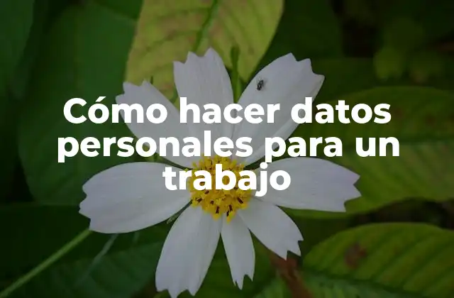 Cómo Hacer Datos Personales para un Trabajo