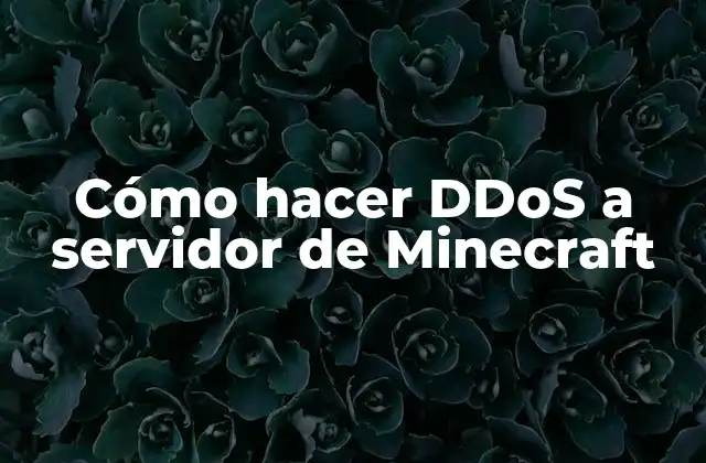 Cómo Hacer Ddos a Servidor de Minecraft