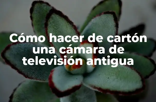 Cómo Hacer de Cartón una Cámara de Televisión Antigua