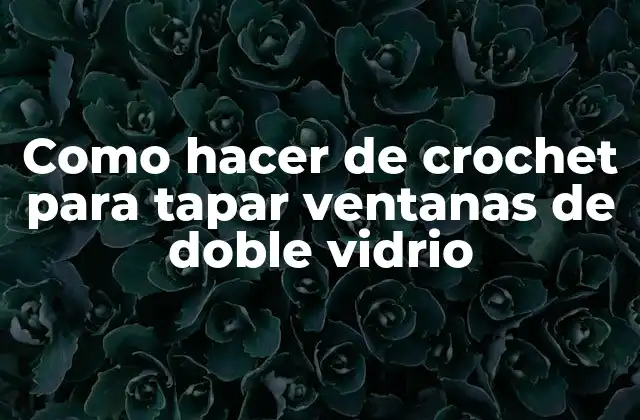 Como Hacer de Crochet para Tapar Ventanas de Doble Vidrio