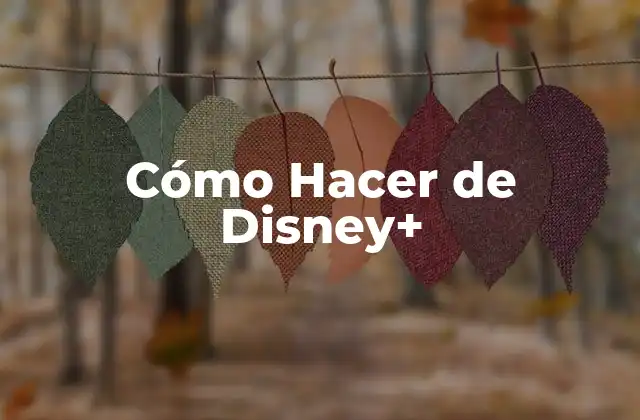Cómo Hacer de Disney+