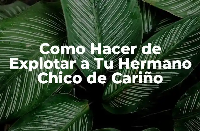 Como Hacer de Explotar a Tu Hermano Chico de Cariño