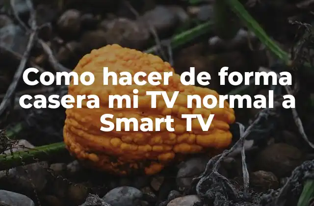 Como Hacer de Forma Casera Mi Tv Normal a Smart Tv 2 ¿Qué es una Smart TV y para qué sirve?