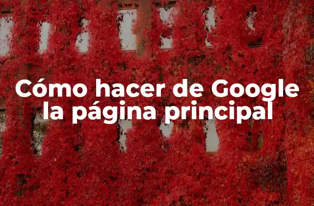 Cómo Hacer de Google la Página Principal 2 Cómo hacer de Google la página principal