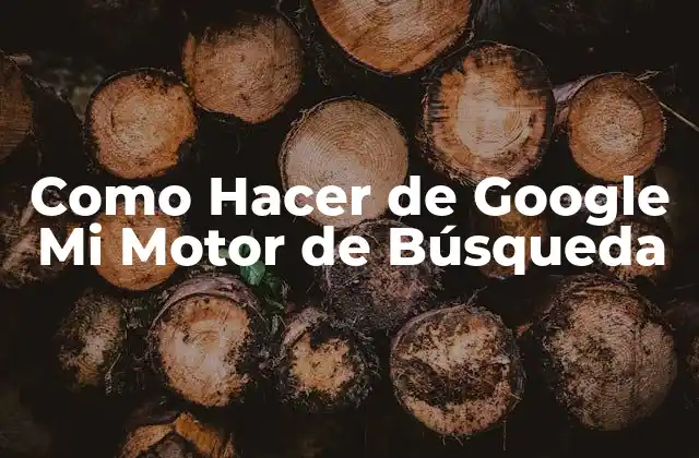 Como Hacer de Google Mi Motor de Búsqueda
