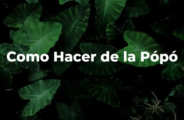 ¿Qué es la Pópó y para qué Sirve?
