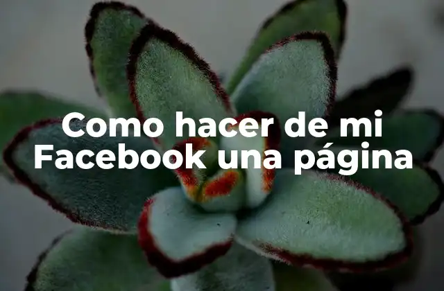 Como Hacer de Mi Facebook una Página