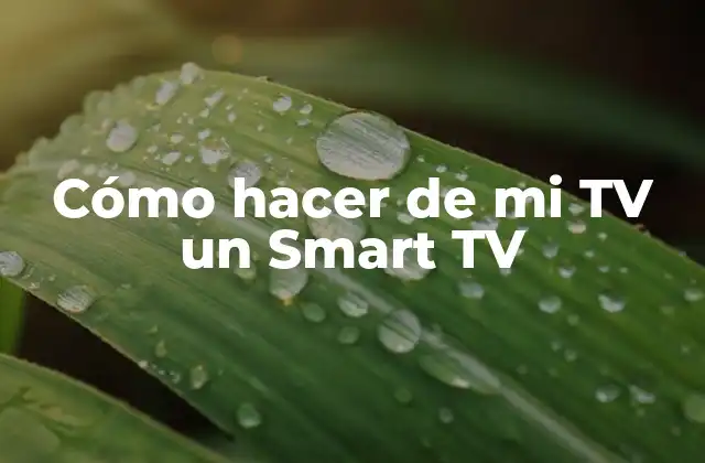 Cómo Hacer de Mi Tv un Smart Tv