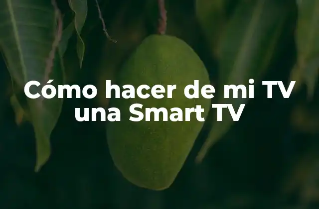 Cómo Hacer de Mi Tv una Smart Tv