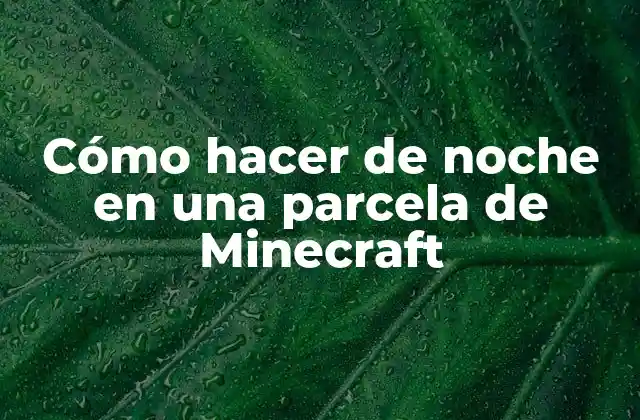 Cómo Hacer de Noche en una Parcela de Minecraft