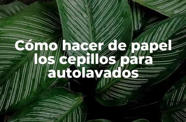 Cómo Hacer de Papel los Cepillos para Autolavados