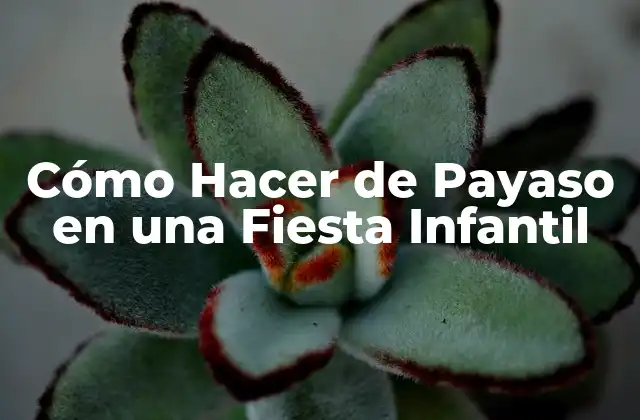 Cómo Hacer de Payaso en una Fiesta Infantil