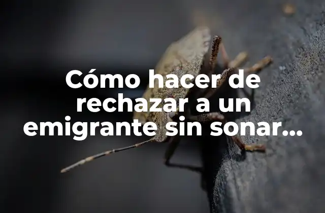 Cómo Hacer de Rechazar a un Emigrante sin Sonar Xenofobo