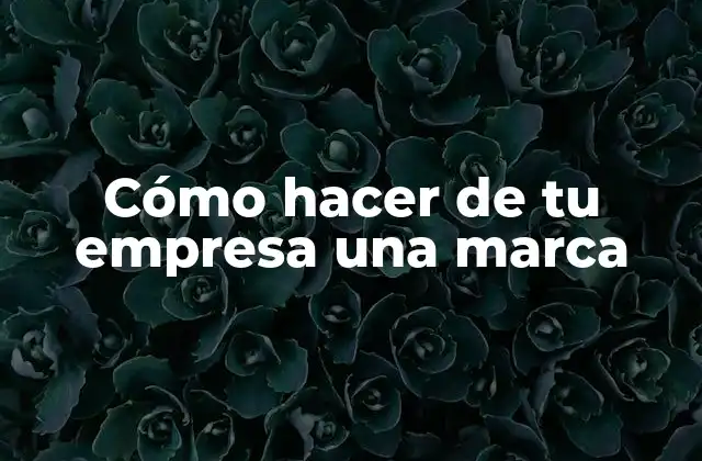 Cómo Hacer de Tu Empresa una Marca
