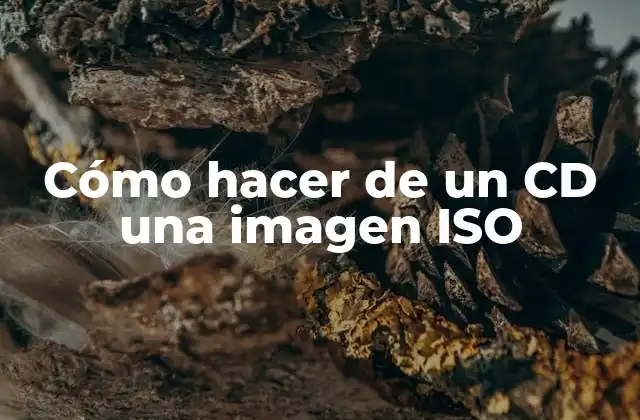 Cómo Hacer de un Cd una Imagen Iso
