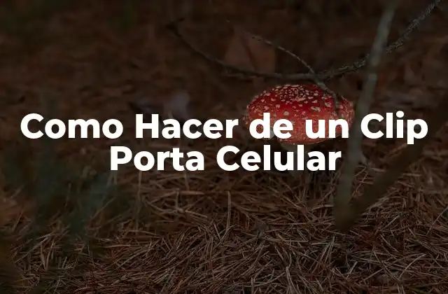 Como Hacer de un Clip Porta Celular